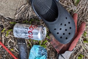 Great Lakes Watershed Cleanup