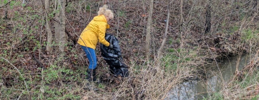 Great Lakes Watershed Cleanup 2025